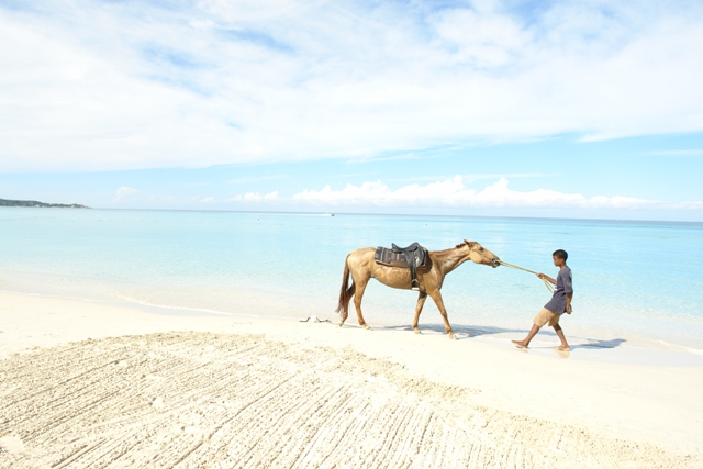 Прогулка на лошадях вдоль берега Карибского моря, Негрил, Ямайка (Nergil - riding a horse,Negril Jamaica) 
